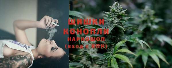 прущие крисы Балахна