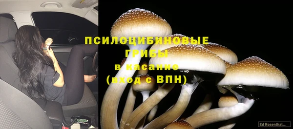 прущие крисы Балахна