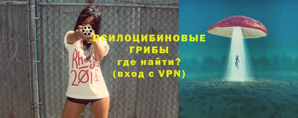 прущие крисы Балахна