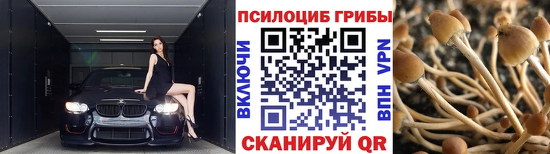 купить закладку  Буинск  Галлюциногенные грибы мухоморы 